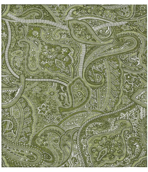 Chantille ACN623 Green 3' x 5' Rug