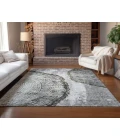 Chantille ACN649 Gray 3' x 5' Rug