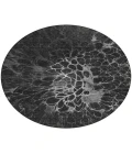 Chantille ACN652 Charcoal 8' x 8' Rug