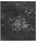 Chantille ACN652 Charcoal 10' x 14' Rug