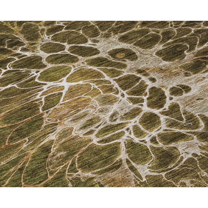 Chantille ACN652 Chocolate 2'6" x 3'10" Rug