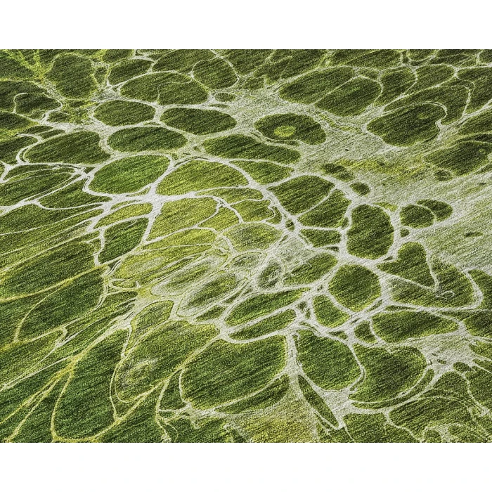 Chantille ACN652 Olive 2'6" x 3'10" Rug