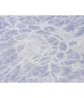 Chantille ACN653 Lavender 2'6" x 3'10" Rug