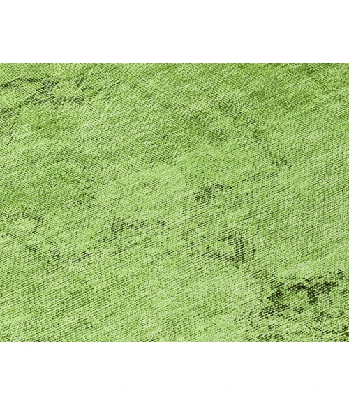 Chantille ACN658 Aloe 3' x 5' Rug