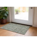 Chantille ACN677 Aloe 1'8" x 2'6" Rug