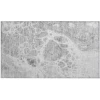 Addison Chantille ACN682 Gray 1 ft. 8 in. x 2 ft. 6 in. Rectangle Rug