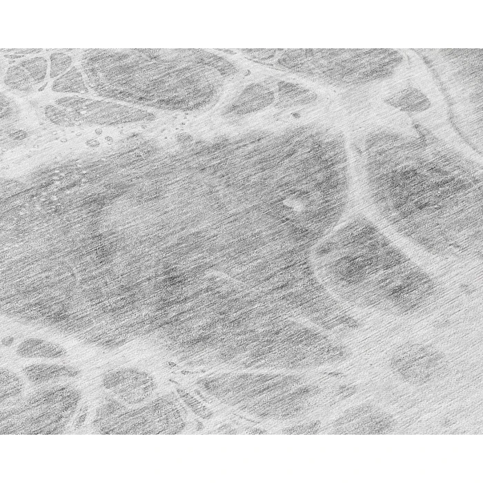 Chantille ACN682 Gray 2'6" x 3'10" Rug