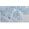 Addison Chantille ACN682 Sky 1 ft. 8 in. x 2 ft. 6 in. Rectangle Rug