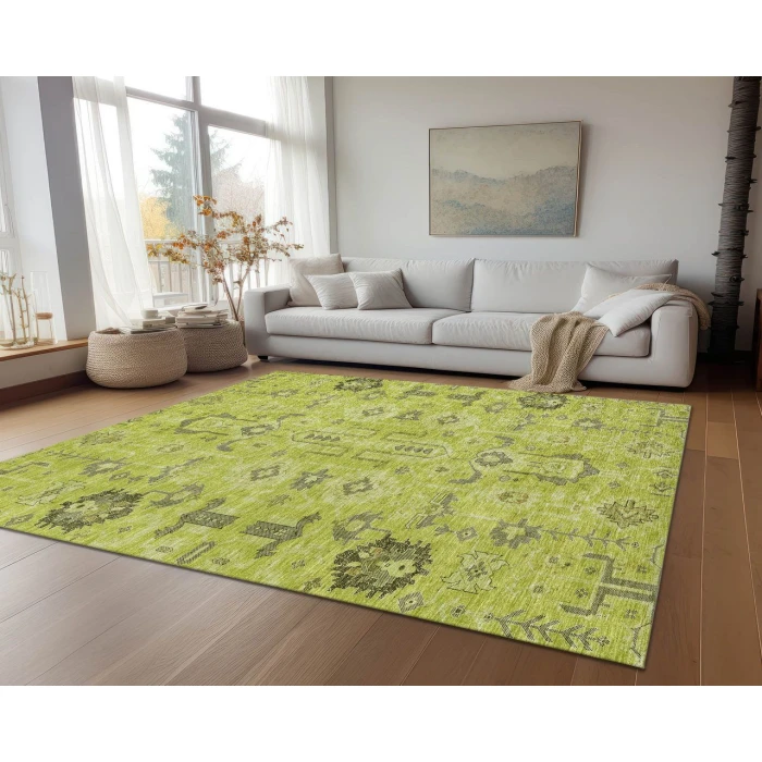 Chantille ACN697 Aloe 9' x 12' Rug