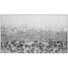 Addison Chantille ACN707 Gray 1 ft. 8 in. x 2 ft. 6 in. Rectangle Rug