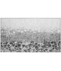 Chantille ACN707 Gray 1'8" x 2'6" Rug