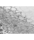 Chantille ACN707 Gray 10' x 14' Rug