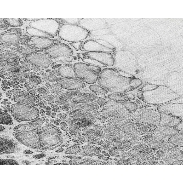 Chantille ACN707 Gray 10' x 14' Rug