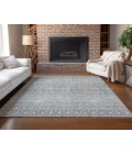 Chantille ACN709 Silver 3' x 5' Rug