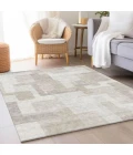 Addison Chantille ACN740-Beige 3 ft. X 5 ft. Rectangle Rug