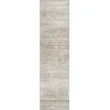 Addison Chantille ACN747-Beige 2 ft. 3 in. X 7 ft. 6 in. Rectangle Rug