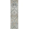 Addison Chantille ACN841-Beige 2 ft. 3 in. X 7 ft. 6 in. Rectangle Rug