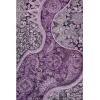Addison Mayfield Purple AMF1078 5ft. x 7ft. 6in. Rect. Rug