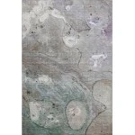 Addison Mayfield Brown AMF1941 8ft. x 10ft. Rect. Rug