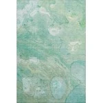 Addison Mayfield Teal AMF1941 8ft. x 10ft. Rect. Rug