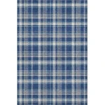 Addison Mayfield Blue AMF563 8ft. x 10ft. Rect. Rug