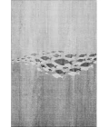 Addison Mayfield Gray AMF627 8ft. x 10ft. Rect. Rug