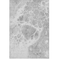 Addison Mayfield Gray AMF682 - 8ft. Round Rug