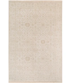 Amer Ainsley Ivory AIN-1 2ft. x 3ft. Rect. Rug