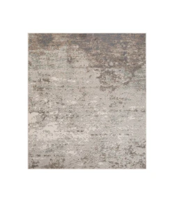 Amer Alpine Amira Gray Abstract Rug 1'10" x 2'11"