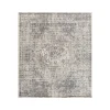 Amer Alpine Dale Medium Gray Medallion Rug 7'10" x 10'2"