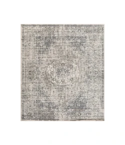 Amer Alpine Dale Medium Gray Medallion Rug 7'10" x 10'2"
