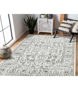 Amer Alpine Fany Light Gray Bordered Rug 7'10" x 10'2"