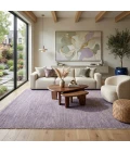 Amer Arizona Orchid ARZ-19 2ft. x 3ft. Rect. Rug