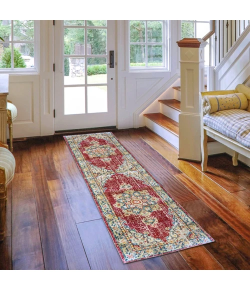 Amer Century Haven Vintage Red Polyester Runner Rug 2'6"x8'