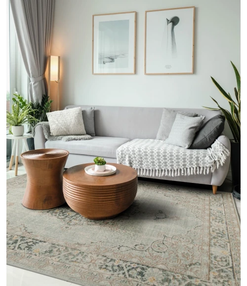 Amer Century Haven Vintage Green Polyester Area Rug 9'x13'