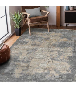 Amer Ensemble Platinum ENS-11 2ft. x 3ft. Rect. Rug