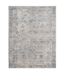 Amer Fairmont FAI-4 Cohaug Gray Rug 2 ft. X 3 ft. 3 in. Rectangle