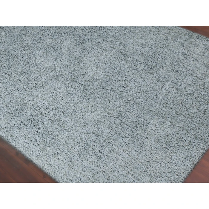 Amer Illustrations Suma Gray/Blue Polyester Shag Area Rug 2'x3'
