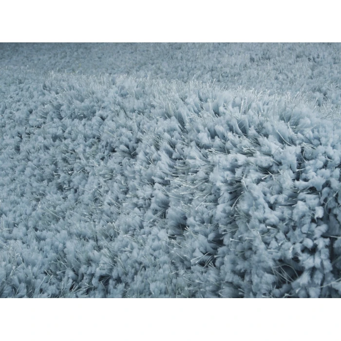 Amer Illustrations Suma Gray/Blue Polyester Shag Area Rug 2'x3'