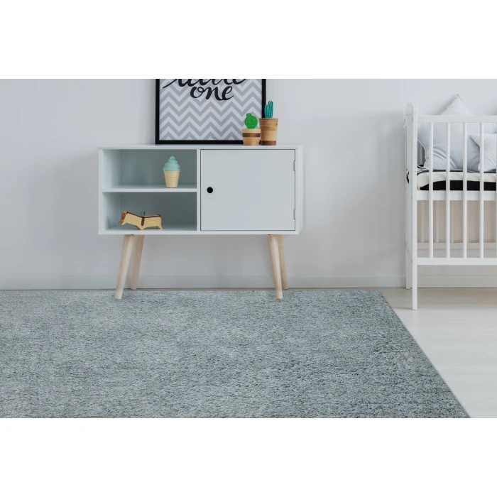 Amer Illustrations Suma Gray/Blue Polyester Shag Area Rug 2'x3'