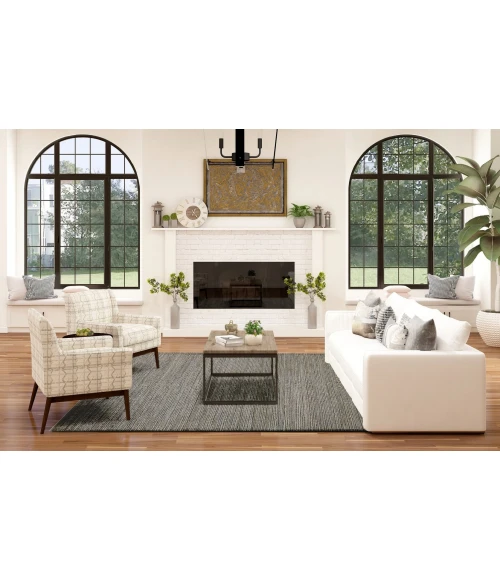 Amer Naturals Sinclair Dark Gray Organic Jute/Cotton Flatweave Area Rug 2'x3'