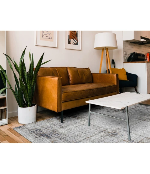 Amer Savannah Dylanne Gold Polyester Blend Area Rug 2'x3'