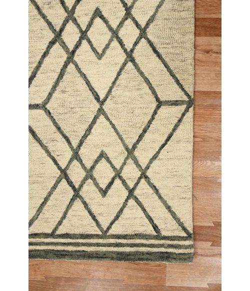 Amer Vista Duncan Ivory Hand-Hooked Wool Area Rug 8'x10'