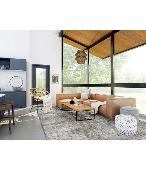 Amer Vermont Erysse Gray/Orange Polyester Area Rug 7'10" x 9'10"