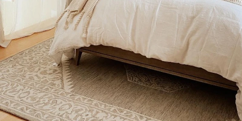 What’s the Best Rug for the Living Room?