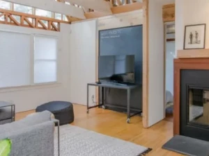 History of Rugs and How They Are Evolving?