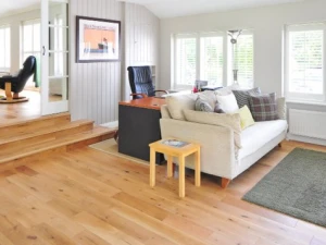 How to Pick the Best Home Indoor Rug?