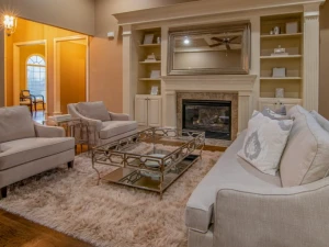 Top Jaipur living rugs decor ideas in 2022