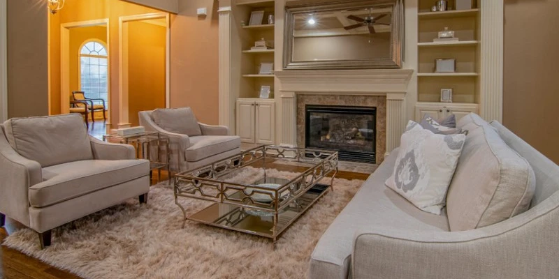 Top Jaipur living rugs decor ideas in 2022