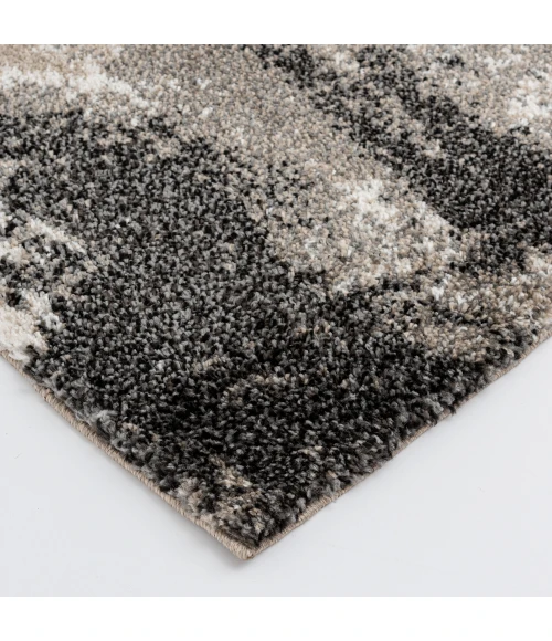 Toronto Edmarndo Area Rug By Central Oriental